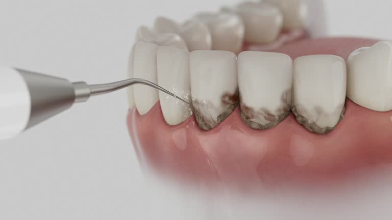 Reliable Dental contractor in St. Joseph County County, MI by Dentist Open Now